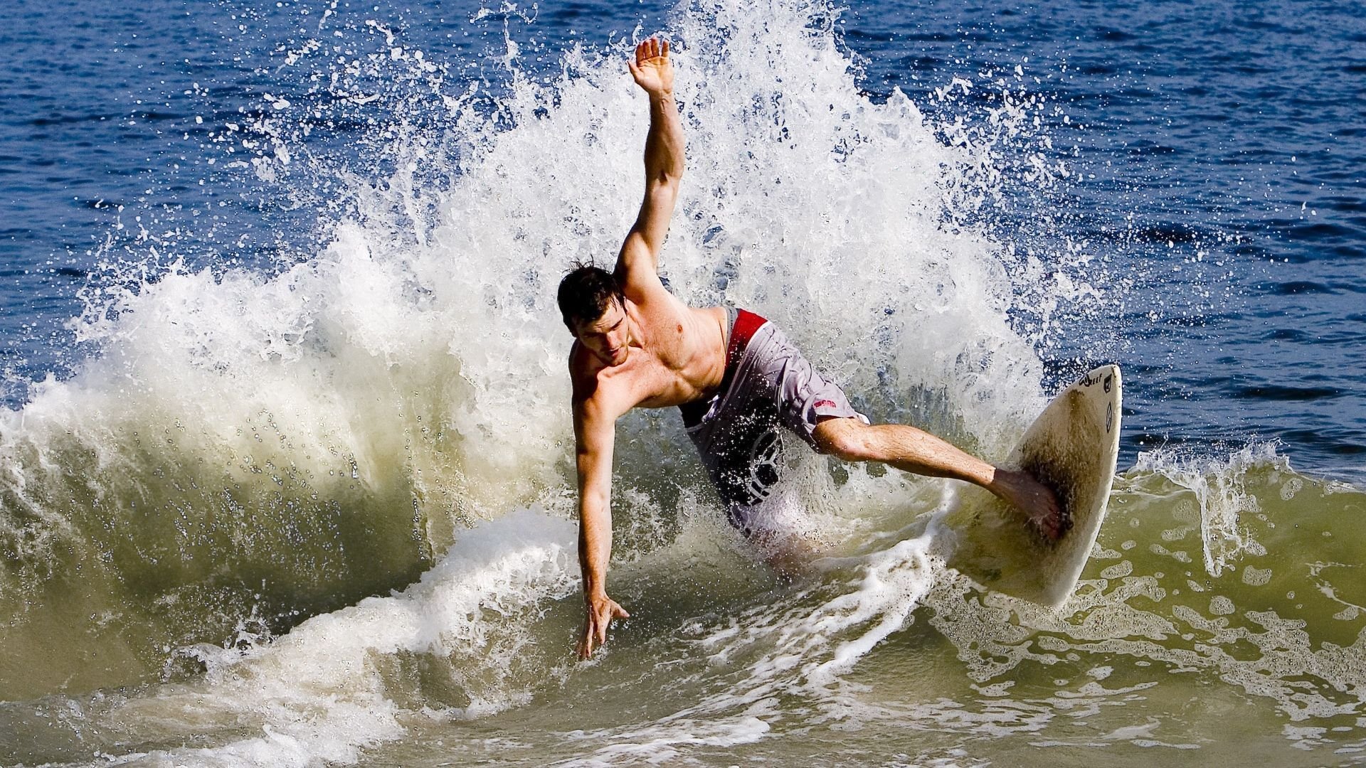 “未来无可限量：新秀崭露头角的剧烈演变”，新秀什么